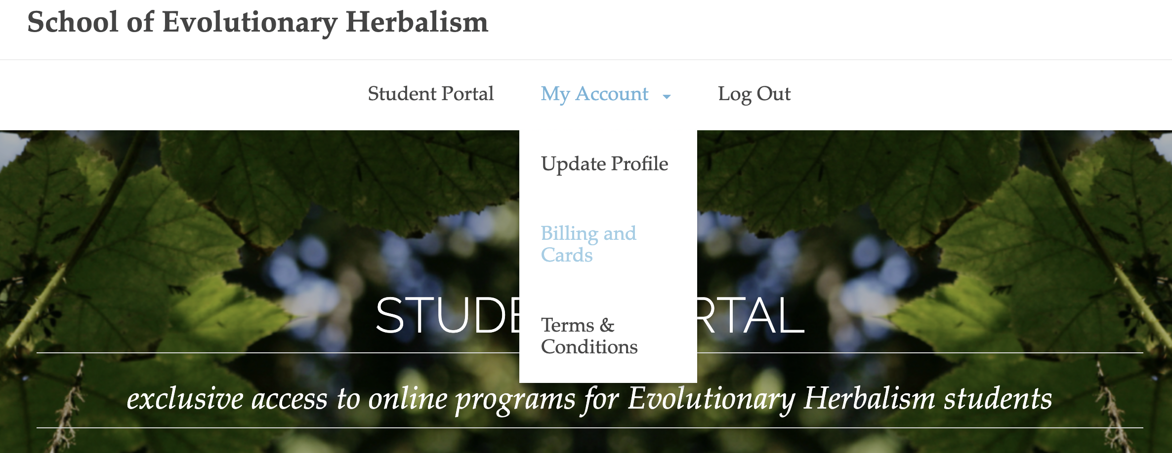 Screen_Shot_2022-10-05_at_6.54.23_PM.png